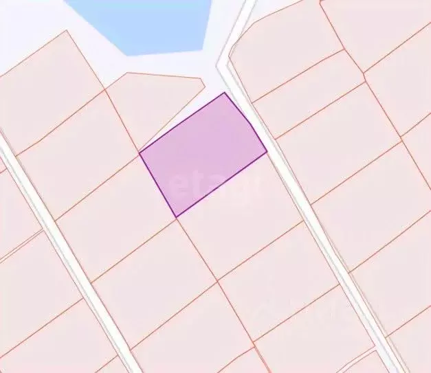 Участок в Новосибирская область, Новосибирск Банковец СТ, 96 (6.0 ... - Фото 0