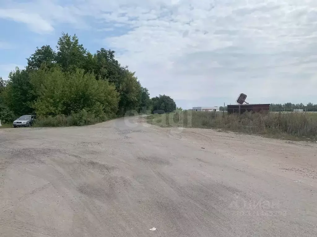 Участок в Курская область, Курский район, Нижнемедведицкий сельсовет, ... - Фото 1