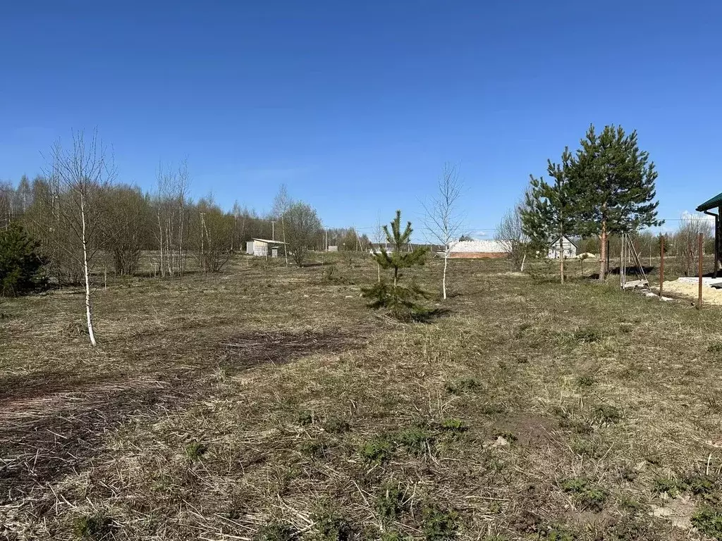 Участок в Нижегородская область, Богородский муниципальный округ, д. ... - Фото 1