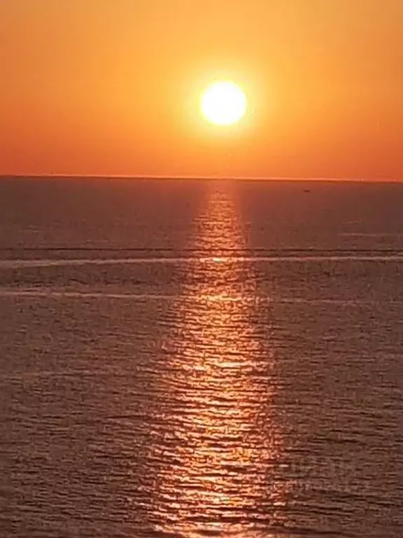 Студия Краснодарский край, Сочи ул. Просвещения, 84 (32.0 м) - Фото 1