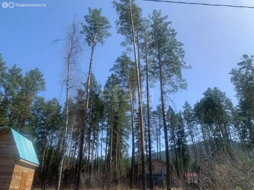 Участок в Усть-Сема, переулок Верх-Барангол (1304 м) - Фото 1