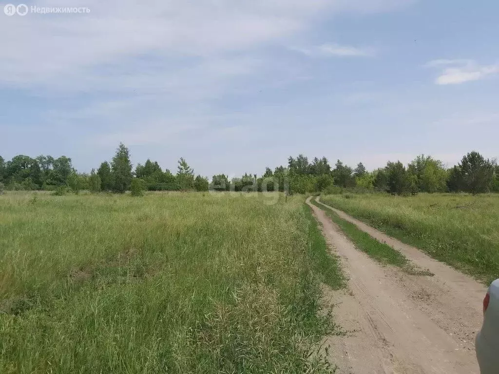 Участок в Бийский район, СДТ Зверовод, Молодёжная улица (11 м) - Фото 1