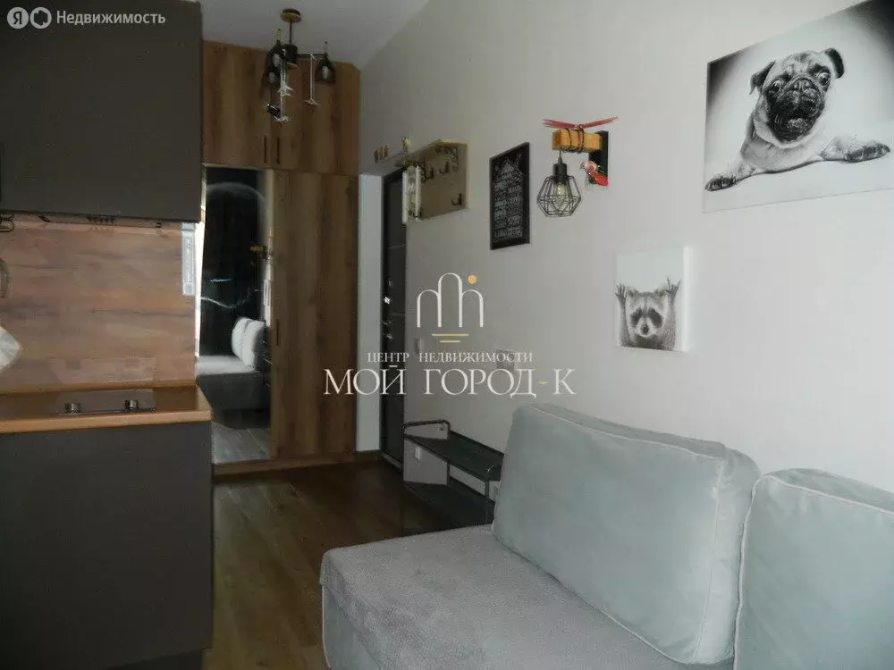 Квартира-студия: Сочи, Виноградная улица, 219с1 (24 м) - Фото 2