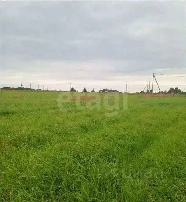 Участок в Вологодская область, пос. Надеево  (15.0 сот.) - Фото 2