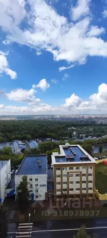 Студия Чувашия, Чебоксары ул. Петрова, 9к1 (30.0 м) - Фото 0