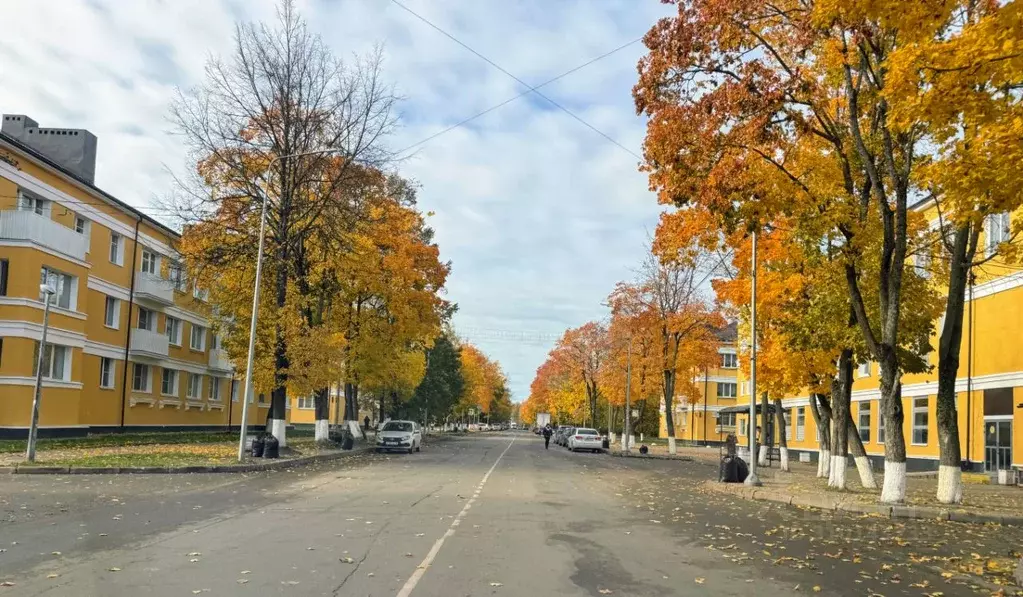 3-к кв. Ленинградская область, Всеволожский район, Дубровское ... - Фото 1