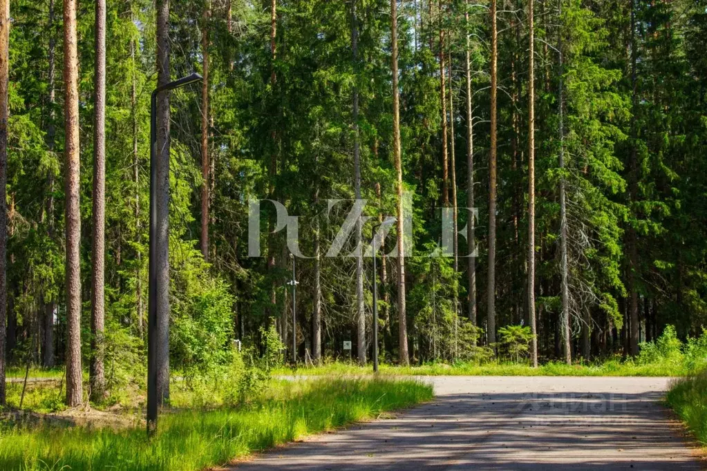 Участок в Ленинградская область, Выборгский район, Рощино пгт, КП ... - Фото 2