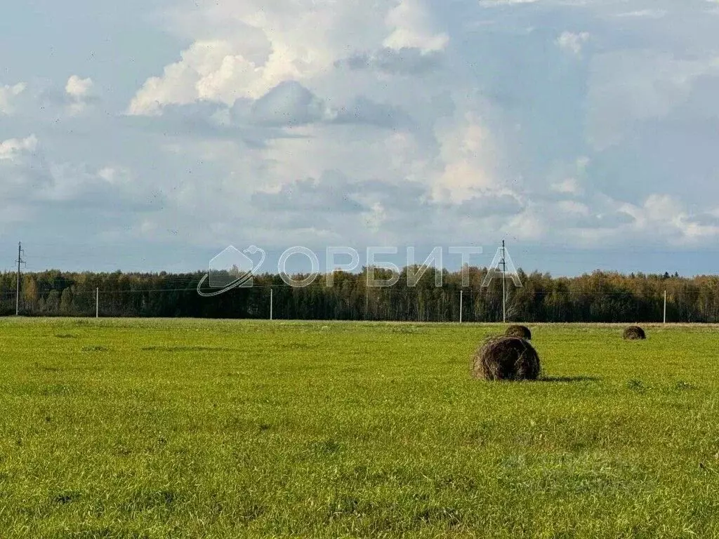 Участок в Тюменская область, Тюменский район, д. Елань  (5.0 сот.) - Фото 0