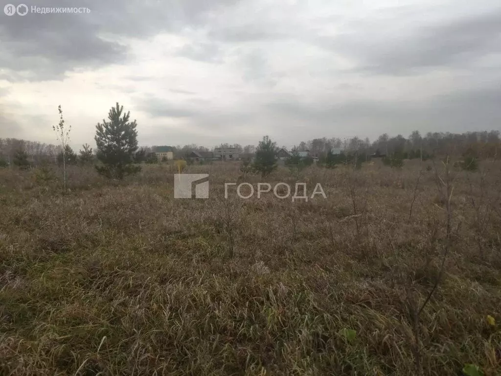 Участок в Первомайский район, посёлок Новый, Берёзовская улица, 14 (12 ... - Фото 0