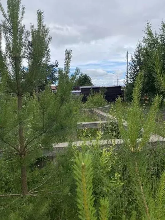 Участок в Кировская область, Киров ул. Центральная (16.7 сот.) - Фото 2