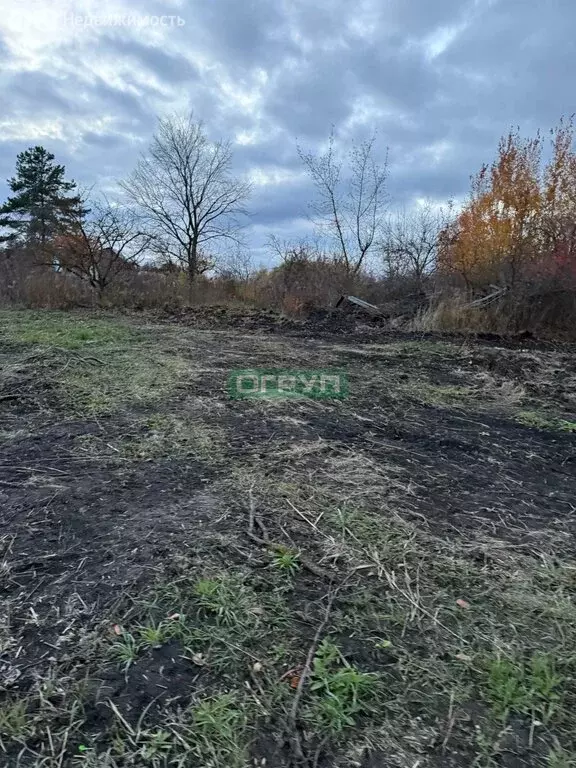 Участок в Пенза, СНТ 40 лет Октября-2, 89 (27 м) - Фото 0