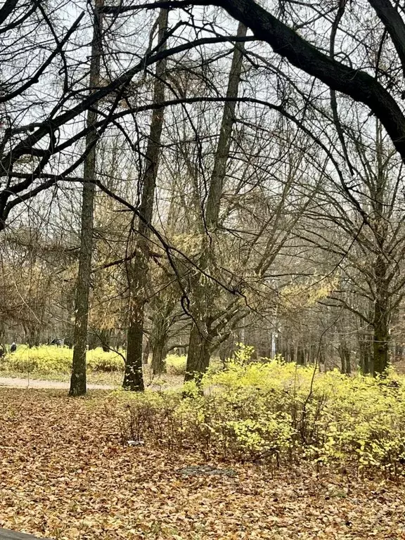 2-к кв. Москва Мосфильмовская ул., 39К3 (42.0 м) - Фото 2