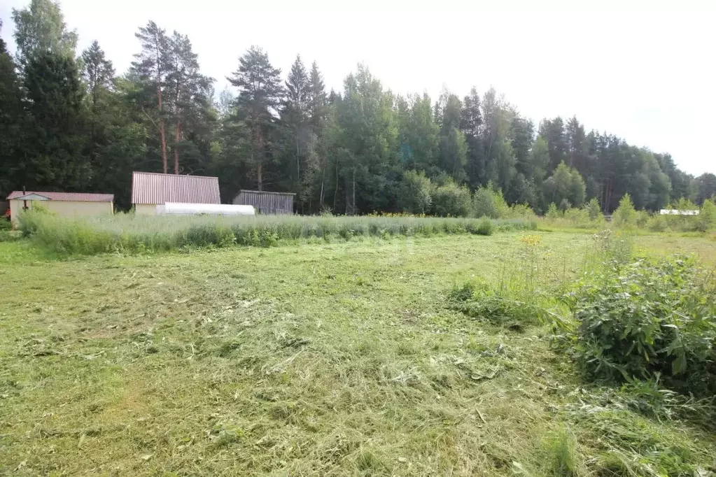 Участок в Вологодская область, Шекснинский муниципальный округ, СОТ ... - Фото 1