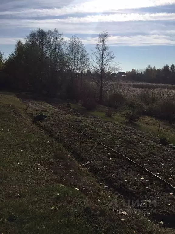 Участок в Нижегородская область, Бор пос. Октябрьский, ул. Речная, 8 ... - Фото 1