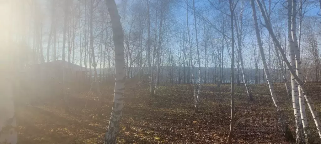 Участок в Самарская область, Самара Ротор СДТ,  (17.7 сот.) - Фото 1