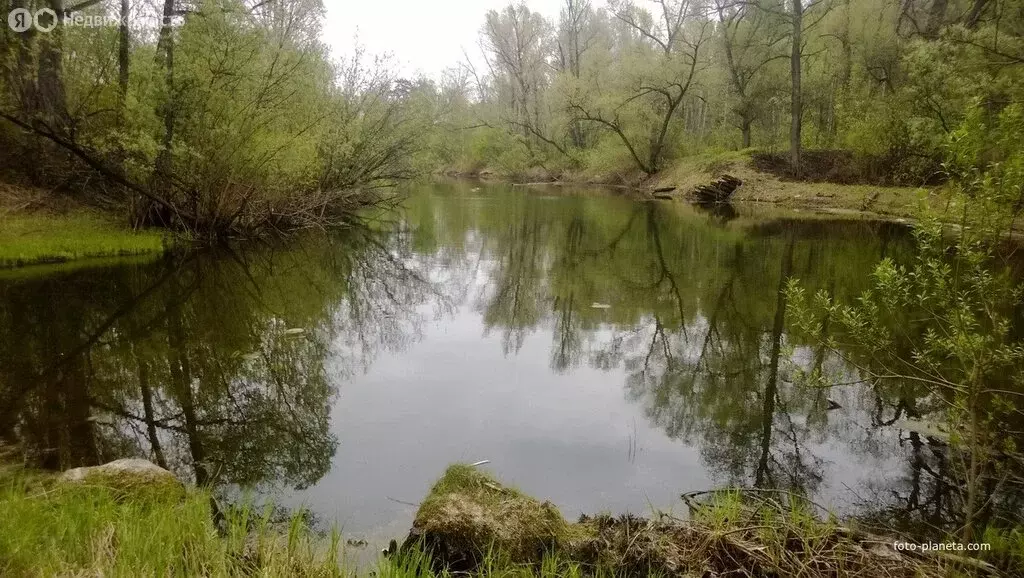 Участок в Болотнинский район, деревня Старобибеево, Луговая улица (20 ... - Фото 0