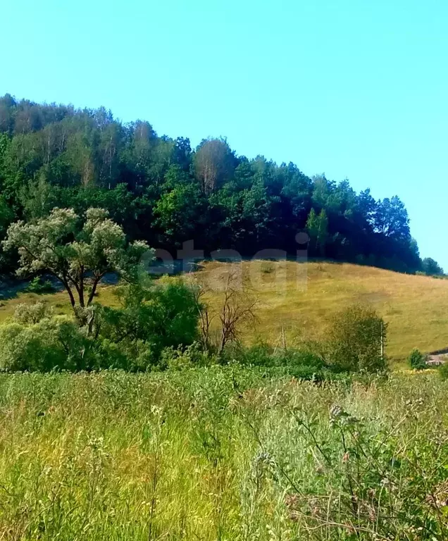 Участок в Мордовия, с. Кочкурово  (40.5 сот.) - Фото 1