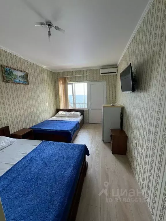 Комната Краснодарский край, Сочи ул. Декабристов, 139 (20.0 м) - Фото 0
