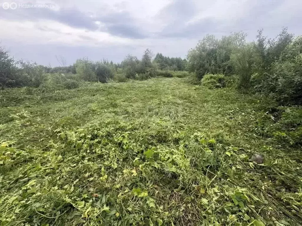 Участок в посёлок городского типа Сосновка, СНТ Сосновый Бор (4.2 м) - Фото 2