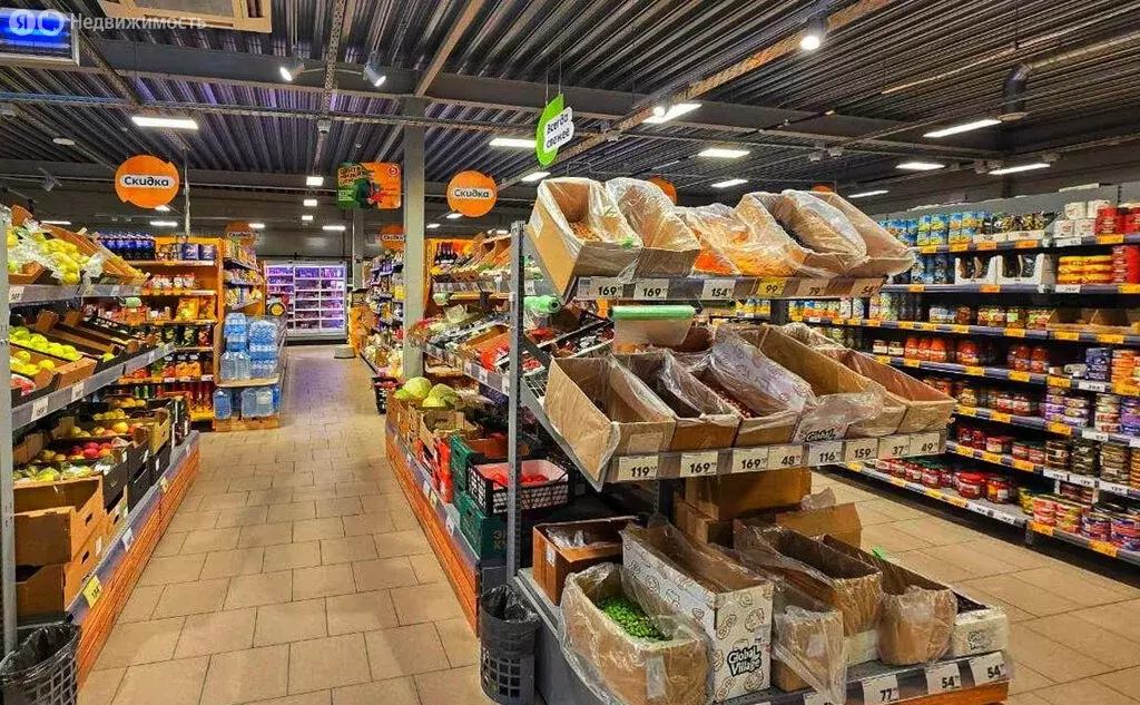 Помещение свободного назначения (449 м) - Фото 2