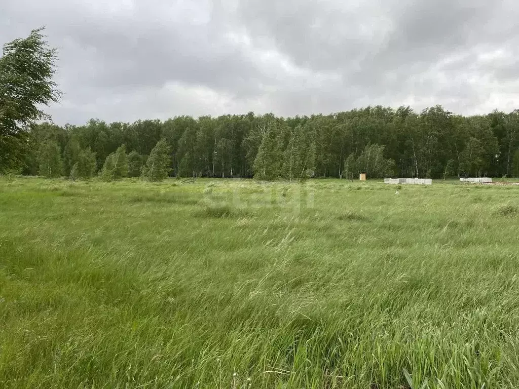 Участок в Курганская область, Кетовский муниципальный округ, д. ... - Фото 0