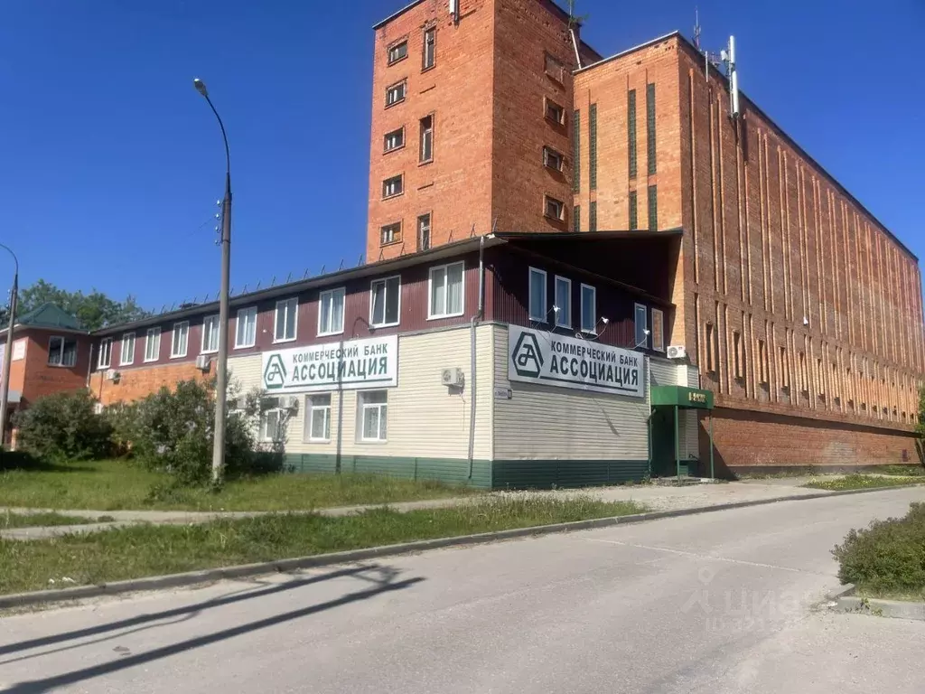 Помещение свободного назначения в Нижегородская область, Бор ул. ... - Фото 0