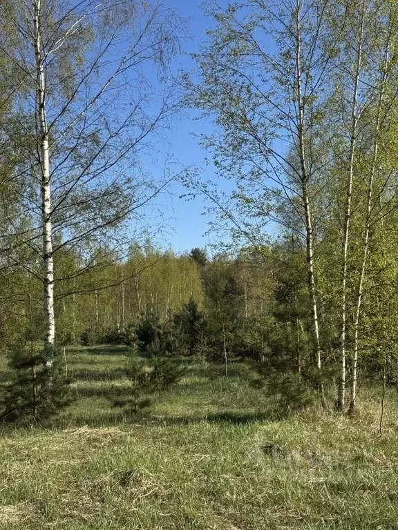 Участок в Тверская область, Зубцовский муниципальный округ, д. ... - Фото 1