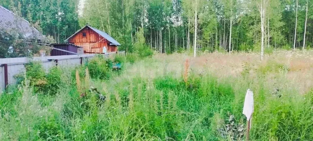 Участок в Ханты-Мансийский АО, Ханты-Мансийск Белка СОТ,  (12.0 сот.) - Фото 1