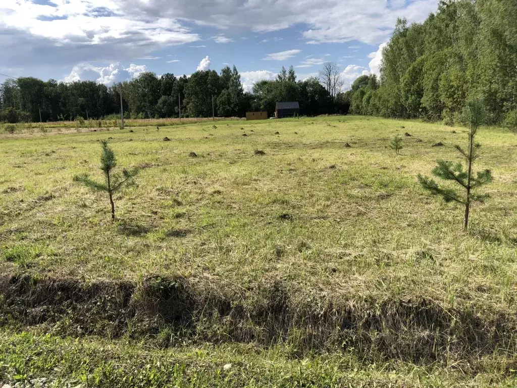Участок в Тульская область, Заокский район, Страховское с/пос, д. ... - Фото 1