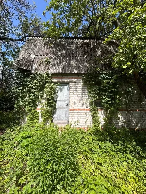 Участок в Воронежская область, Воронеж Завода радиодеталей СНТ, ул. ... - Фото 1