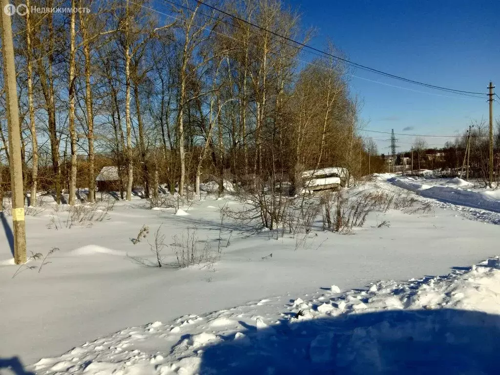 Участок в Дубенский район, сельское поселение Воскресенское, село ... - Фото 2
