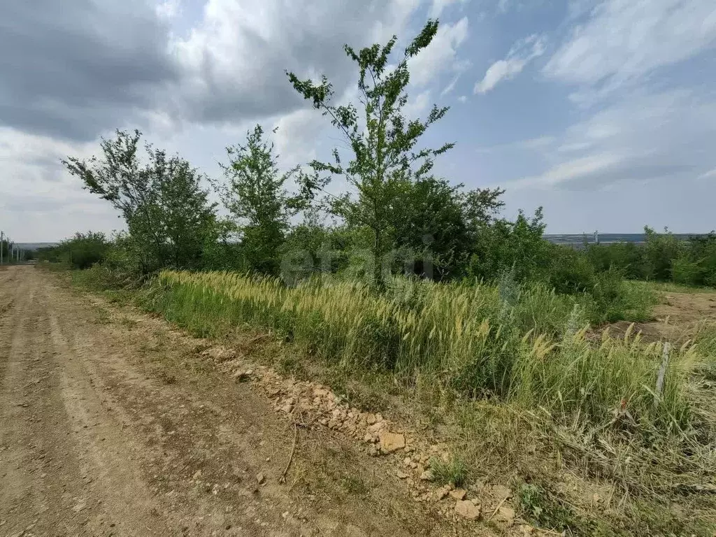 Участок в Ростовская область, Родионово-Несветайский район, ... - Фото 1