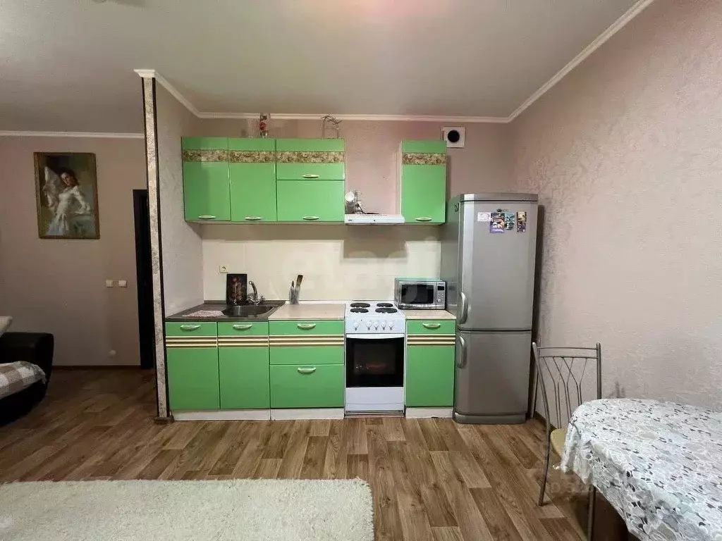 Студия Ямало-Ненецкий АО, Новый Уренгой Дружба мкр, 4/1 (29.6 м) - Фото 2