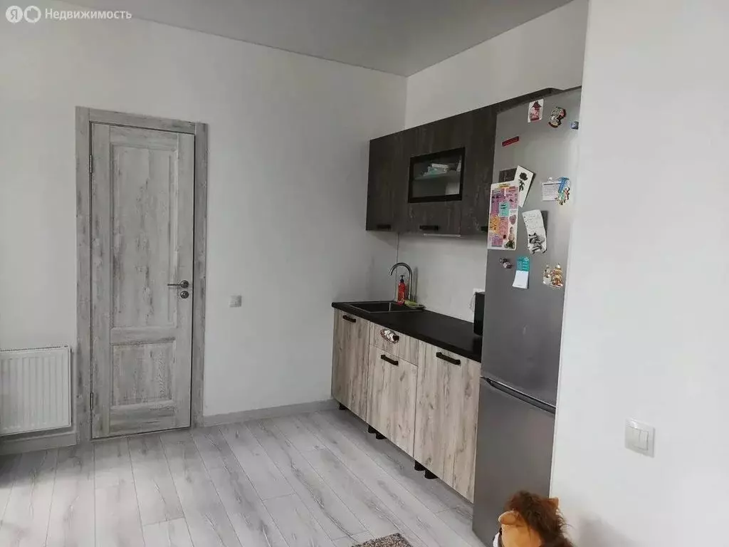 Квартира-студия: деревня Патрушева, улица Петра Ершова, 12 (23.6 м) - Фото 2