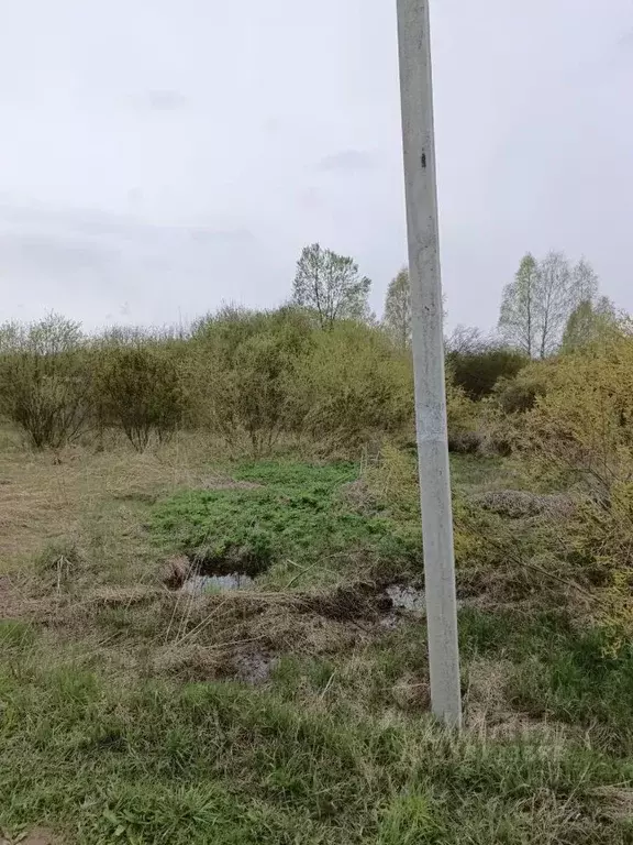 Участок в Московская область, Талдомский городской округ, д. ... - Фото 0