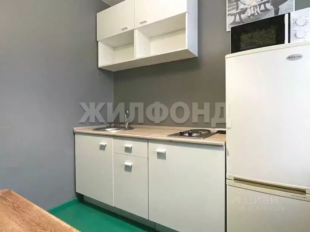 1-к кв. Новосибирская область, Новосибирск ул. 1905 года, 18 (32.9 м) - Фото 1