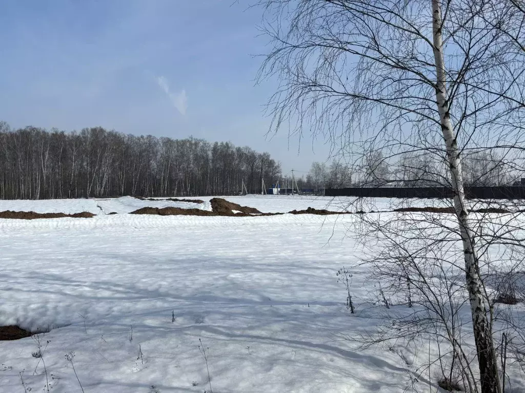 Участок в Московская область, Раменский муниципальный округ, РАОС лайт ... - Фото 2