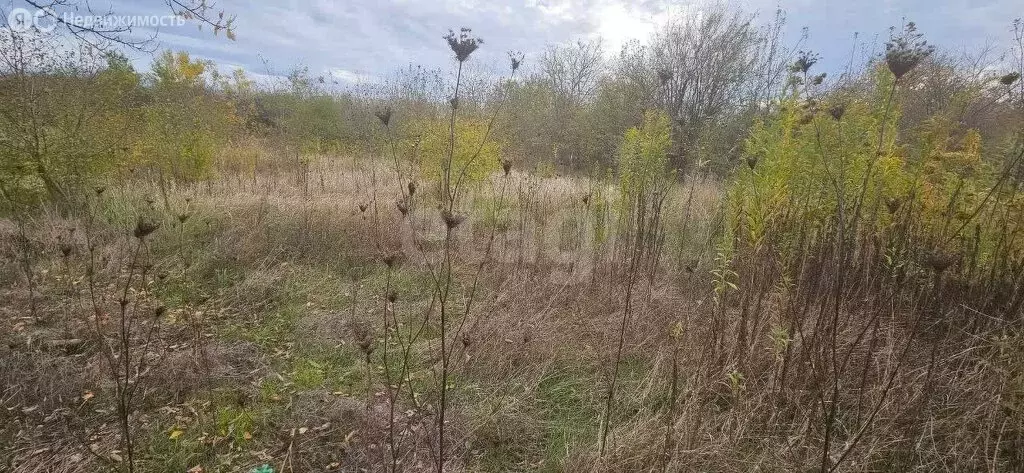 Участок в Белореченск, СОТ Ветерок (9.01 м) - Фото 2