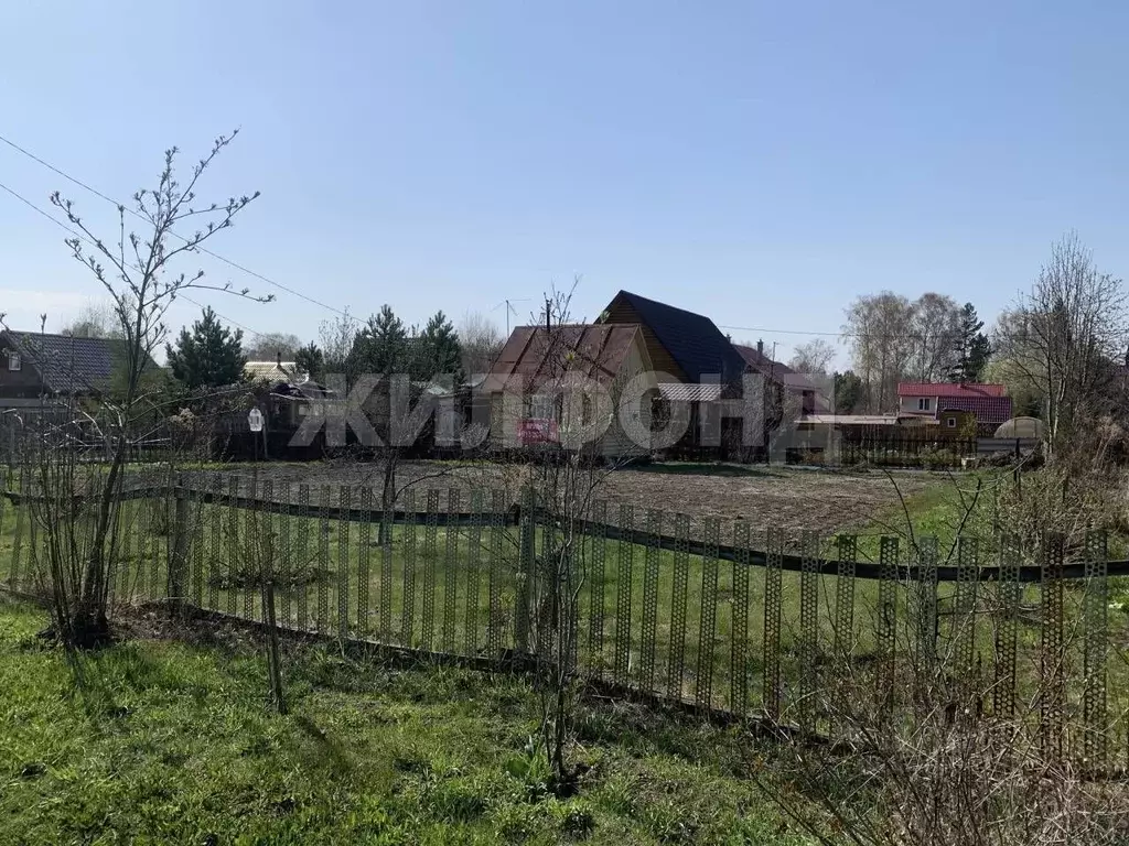 Участок в Новосибирская область, Искитимский район, Морозовский ... - Фото 1