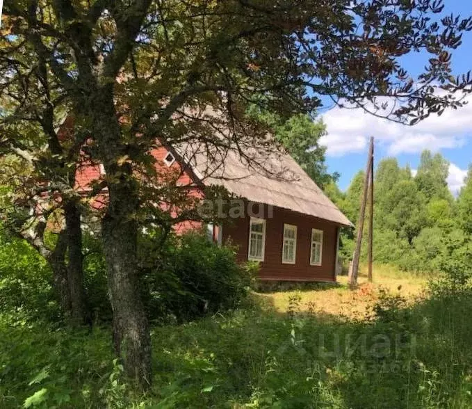 Купить Дом В Печерском Районе Псковской Области
