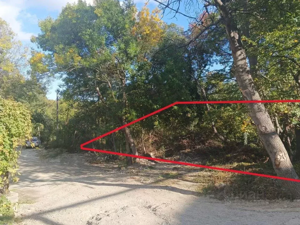 Участок в Крым, Ялта муниципальный округ, Краснокаменка пгт пер. Новый ... - Фото 1