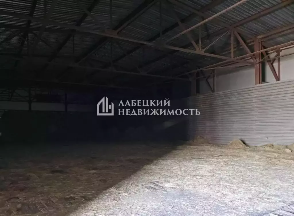 Помещение свободного назначения в Ленинградская область, Всеволожский ... - Фото 2