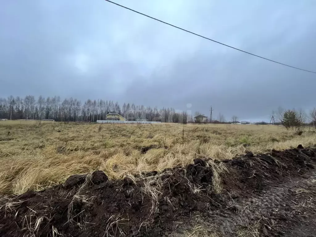 Участок в Чувашия, Моргаушский муниципальный округ, д. Яраккасы  (12.0 ... - Фото 2