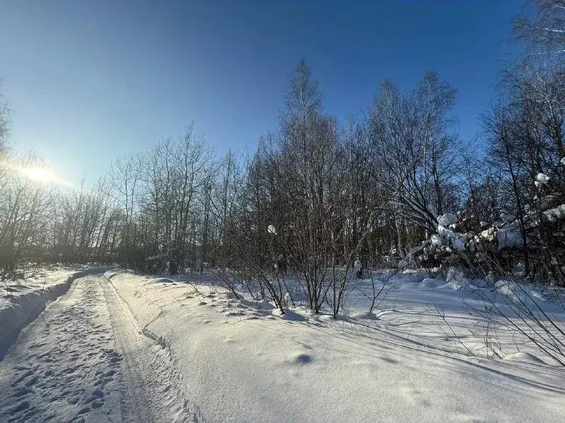 Участок в Московская область, Подольск Львовский мкр,  (15.0 сот.) - Фото 2