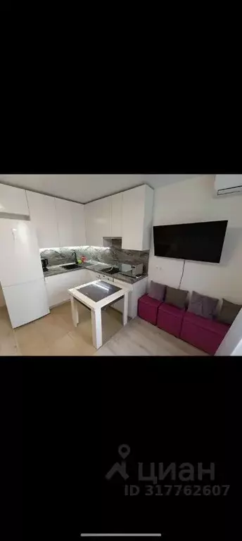 Студия Московская область, Люберцы Инициативная ул., 7В (24.5 м) - Фото 1