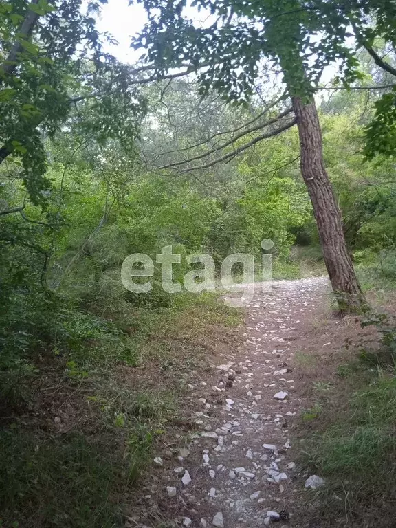 Участок 35 сот. (СНТ, ДНП) - Фото 1