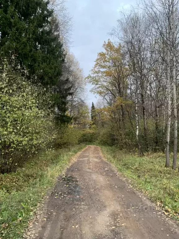 Участок в Ивановская область, Родниковский район, Филисовское с/пос, ... - Фото 0