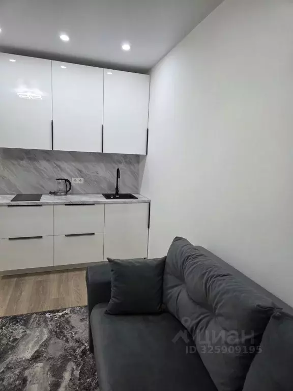 Студия Москва ул. Большое Понизовье, 8 (20.0 м) - Фото 2