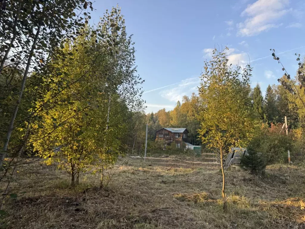 Участок в Москва Берендеи СНТ, ул. Южная (12.0 сот.) - Фото 1