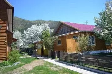 Дом в Алтай, Чемальский район, с. Чемал ул. Энтузиастов, 4 (70 м) - Фото 1